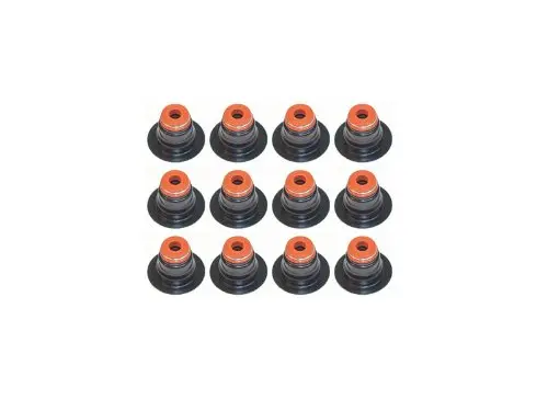 [3927642/GEN1] GOMAS DE VALVULA CARGO 1721 BLK (12 UNID)
